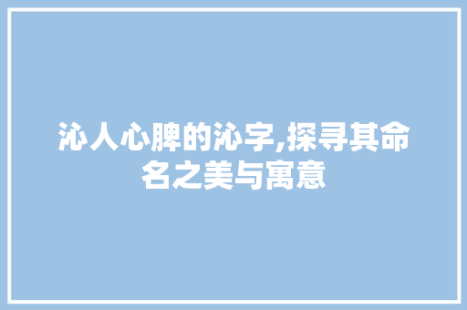 沁人心脾的沁字,探寻其命名之美与寓意