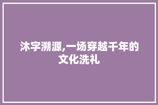沐字溯源,一场穿越千年的文化洗礼 国学经典