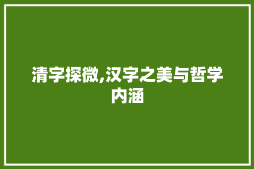 清字探微,汉字之美与哲学内涵 工作总结