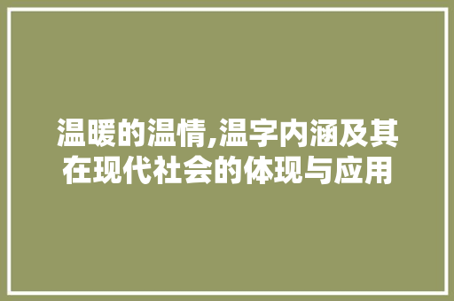 温暖的温情,温字内涵及其在现代社会的体现与应用