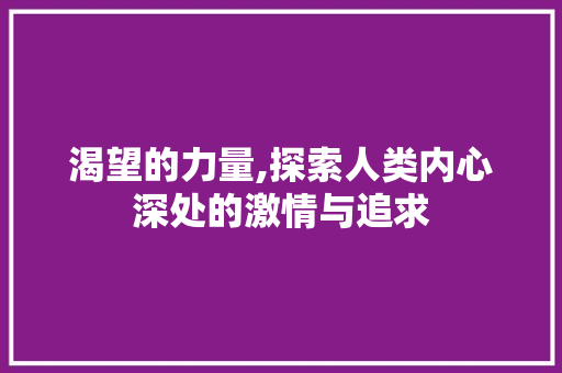 渴望的力量,探索人类内心深处的激情与追求 演讲稿