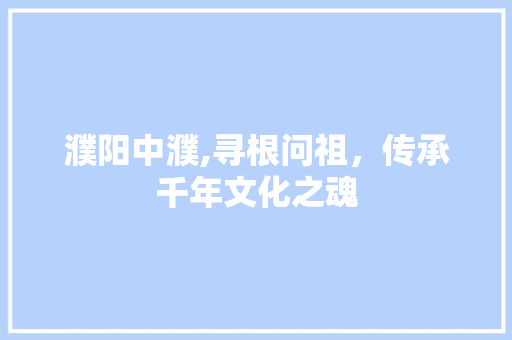 濮阳中濮,寻根问祖，传承千年文化之魂 演讲稿