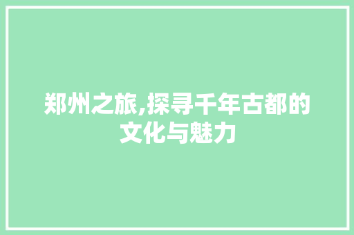 郑州之旅,探寻千年古都的文化与魅力 工作总结