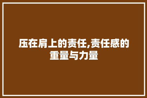 压在肩上的责任,责任感的重量与力量
