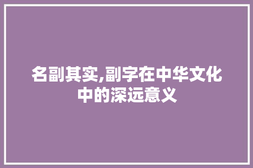 名副其实,副字在中华文化中的深远意义