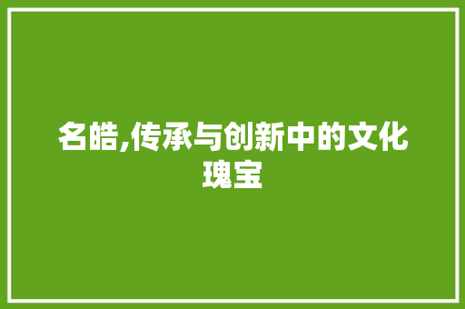 名皓,传承与创新中的文化瑰宝