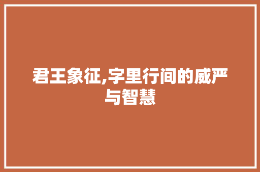 君王象征,字里行间的威严与智慧 工作计划