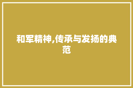 和军精神,传承与发扬的典范
