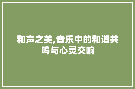 和声之美,音乐中的和谐共鸣与心灵交响 工作总结
