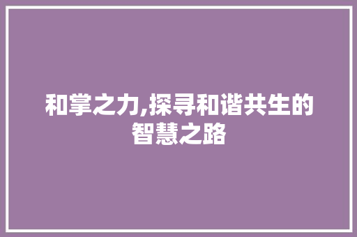 和掌之力,探寻和谐共生的智慧之路 工作总结