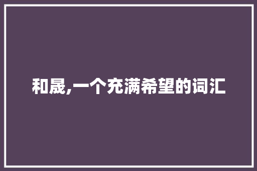 和晟,一个充满希望的词汇 工作计划