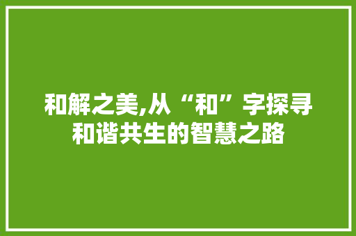 和解之美,从“和”字探寻和谐共生的智慧之路