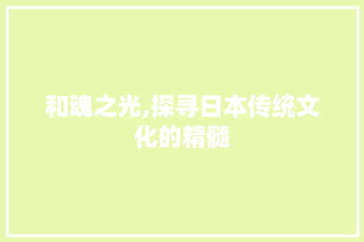 和魂之光,探寻日本传统文化的精髓