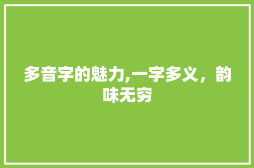 多音字的魅力,一字多义，韵味无穷