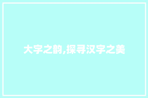 大字之韵,探寻汉字之美