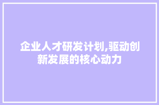 企业人才研发计划,驱动创新发展的核心动力