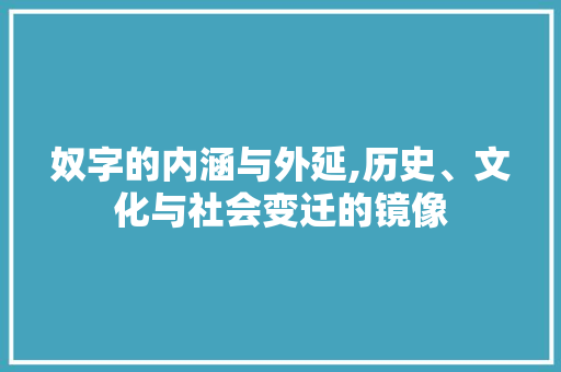 奴字的内涵与外延,历史、文化与社会变迁的镜像 工作总结