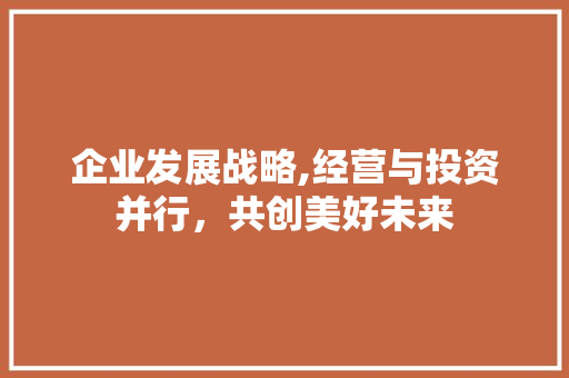 企业发展战略,经营与投资并行，共创美好未来