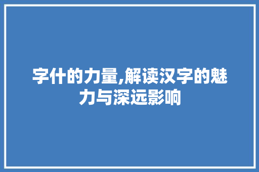 字什的力量,解读汉字的魅力与深远影响