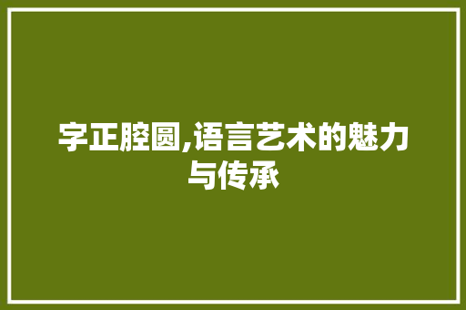 字正腔圆,语言艺术的魅力与传承
