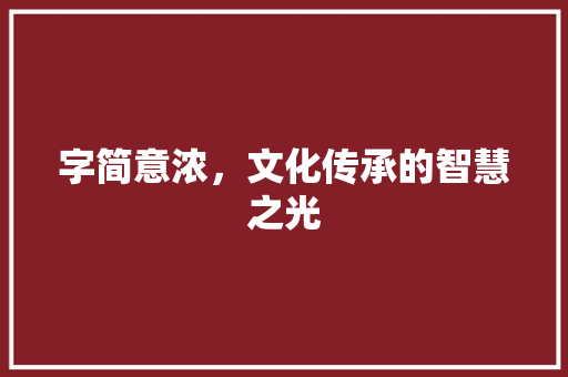 字简意浓，文化传承的智慧之光