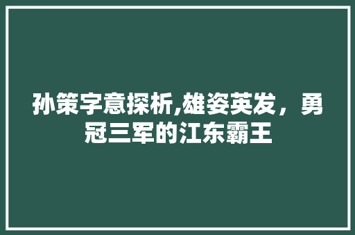 孙策字意探析,雄姿英发，勇冠三军的江东霸王 演讲稿