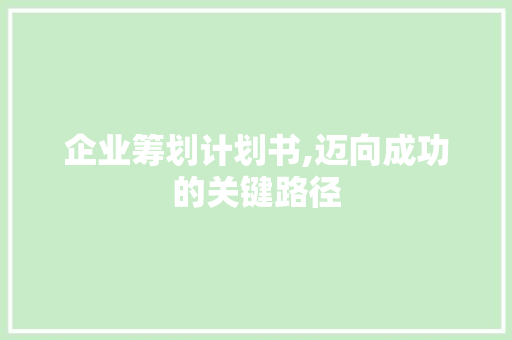 企业筹划计划书,迈向成功的关键路径