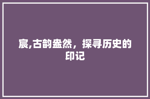 宸,古韵盎然，探寻历史的印记