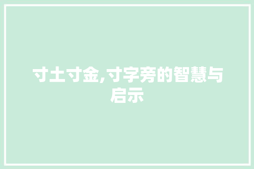 寸土寸金,寸字旁的智慧与启示