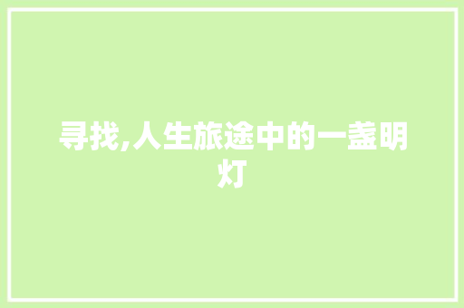寻找,人生旅途中的一盏明灯