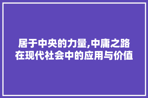 居于中央的力量,中庸之路在现代社会中的应用与价值
