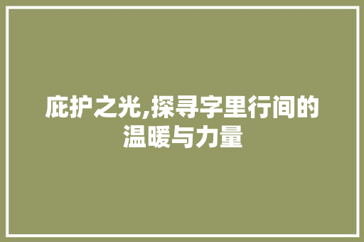 庇护之光,探寻字里行间的温暖与力量