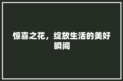 惊喜之花，绽放生活的美好瞬间