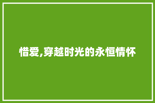 惜爱,穿越时光的永恒情怀