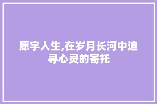 愿字人生,在岁月长河中追寻心灵的寄托