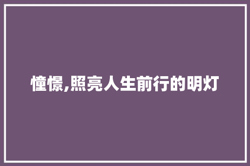 憧憬,照亮人生前行的明灯