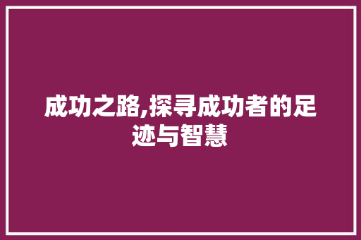 成功之路,探寻成功者的足迹与智慧