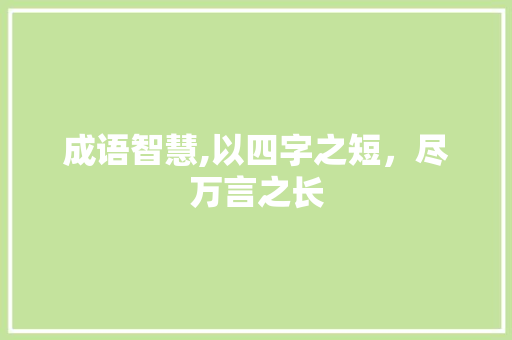 成语智慧,以四字之短，尽万言之长