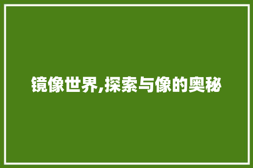 镜像世界,探索与像的奥秘