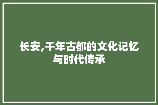 长安,千年古都的文化记忆与时代传承