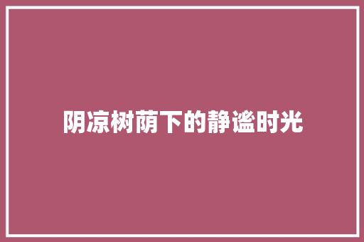 阴凉树荫下的静谧时光