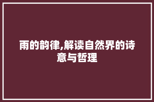 雨的韵律,解读自然界的诗意与哲理