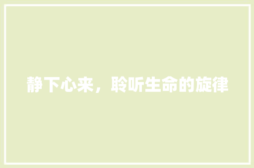 静下心来，聆听生命的旋律