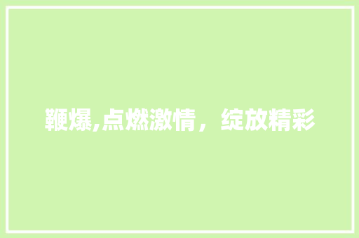 鞭爆,点燃激情，绽放精彩