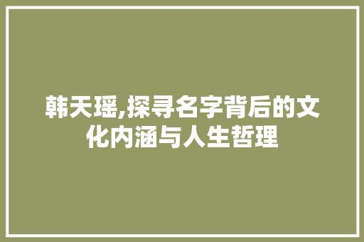 韩天瑶,探寻名字背后的文化内涵与人生哲理 工作计划