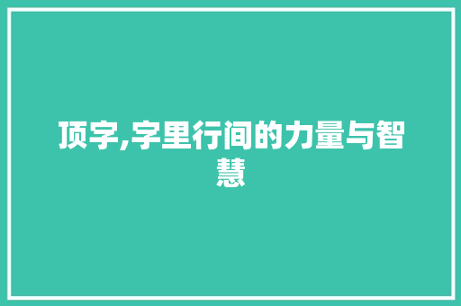 顶字,字里行间的力量与智慧