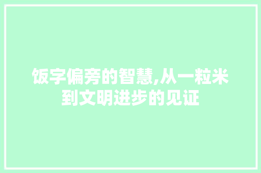 饭字偏旁的智慧,从一粒米到文明进步的见证