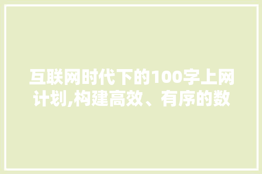 互联网时代下的100字上网计划,构建高效、有序的数字生活