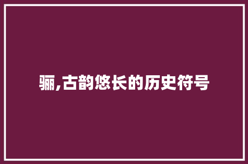骊,古韵悠长的历史符号
