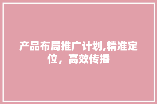 产品布局推广计划,精准定位，高效传播